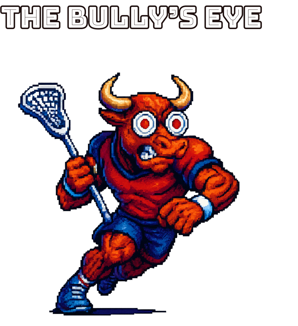 Bully's Eye Shooting Targets